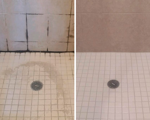 Shower Restored by Our Tile and Grout Cleaners in Falcon, CO