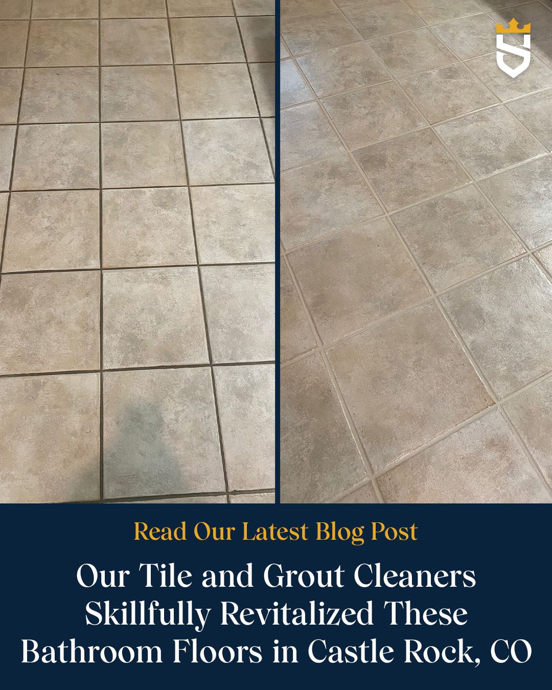 Our Tile and Grout Cleaners Skillfully Revitalized These Bathroom Floors in Castle Rock, CO